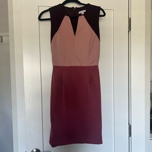 Tri-colored (Blush, Rose, Maroon)  Formal Dress
